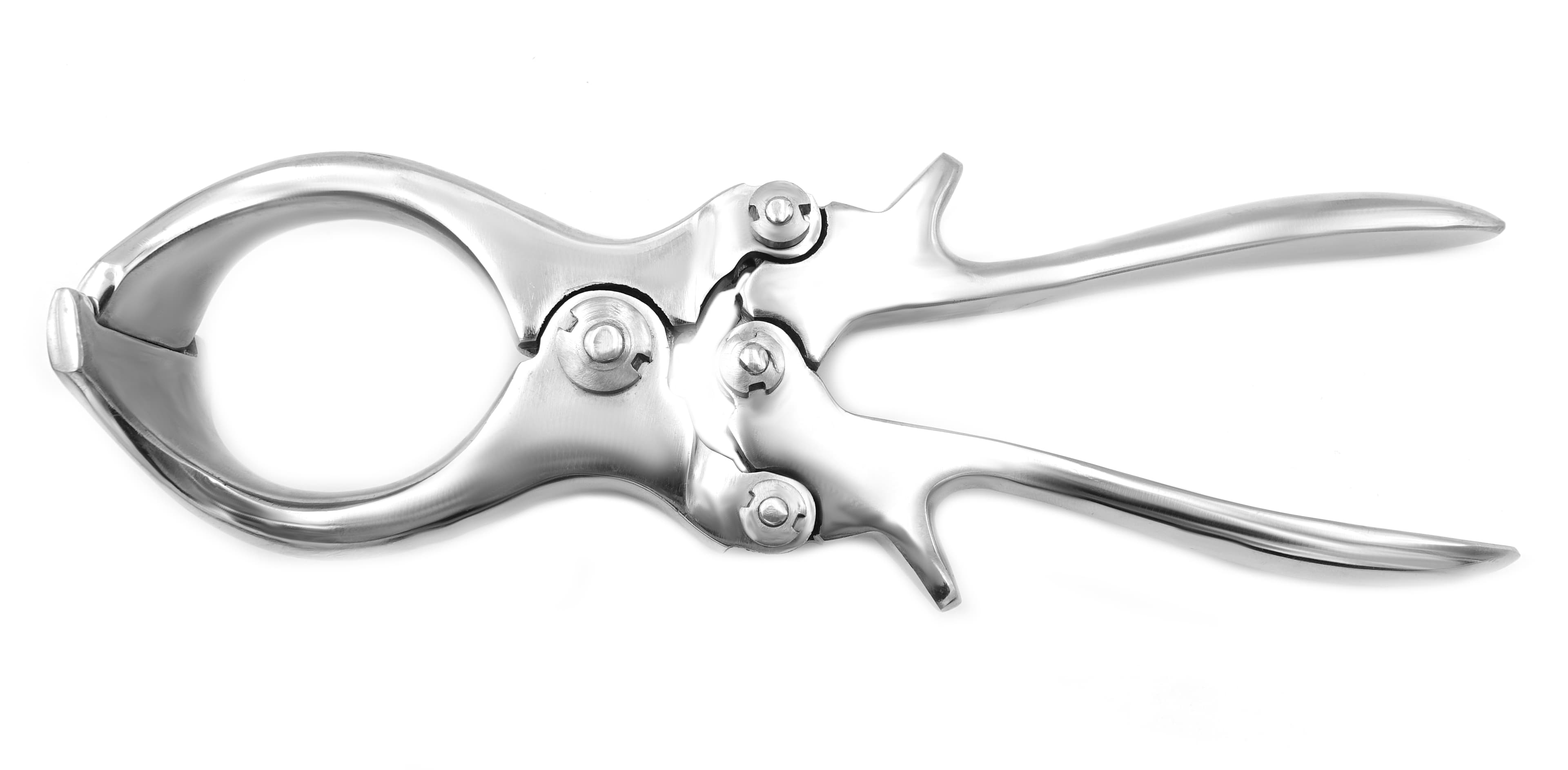 Veterinary Instruments